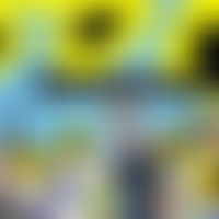 Chorlton Good Neighbours | Charici