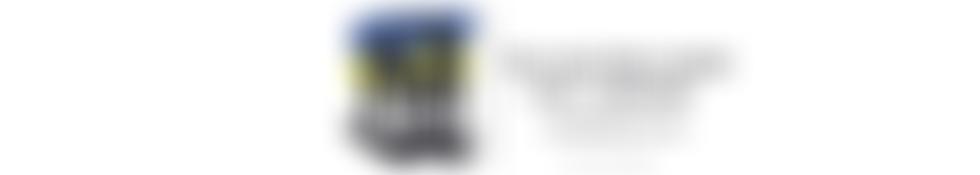 Chernobyl Children's Lifeline | Charici