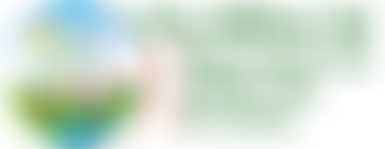 The Willow Set Pre-School | Charici