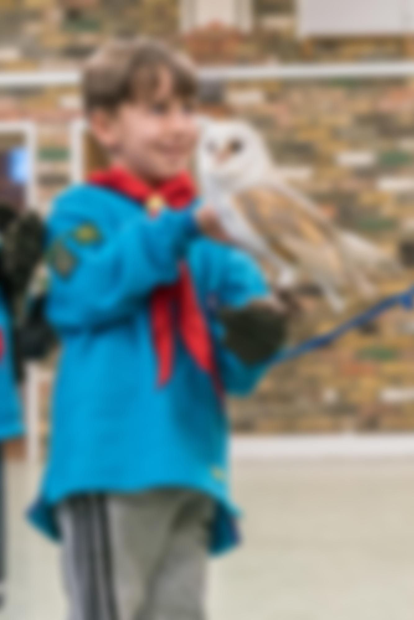 Berkshire County Scout Council | Charici