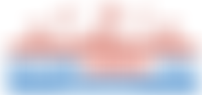 Newtown Carnival Trust | Charici