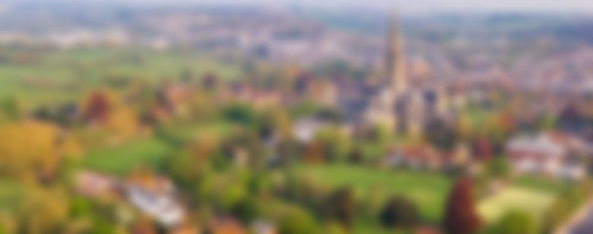 Salisbury Cathedral Close Preservation Society | Charici