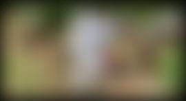 Vale And Downland Beekeepers Association | Charici