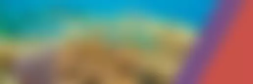 International Non-Governmental Organisation Training And Research Centre | Charici