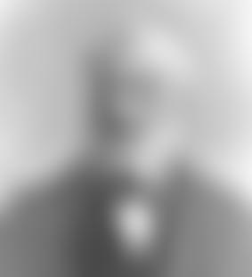 David Williamson Trust | Charici