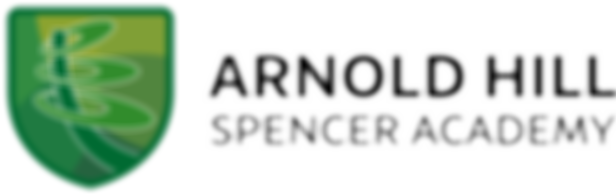 Parent Teacher Association Of The Arnold Hill School | Charici