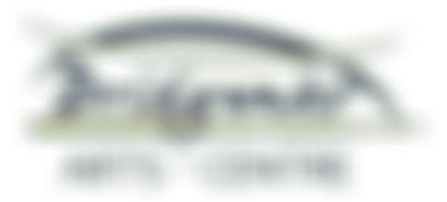 Bridgwater Arts Centre Company Limited | Charici