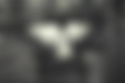 Eric Hosking Trust | Charici