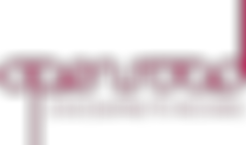 Open Road Visions | Charici