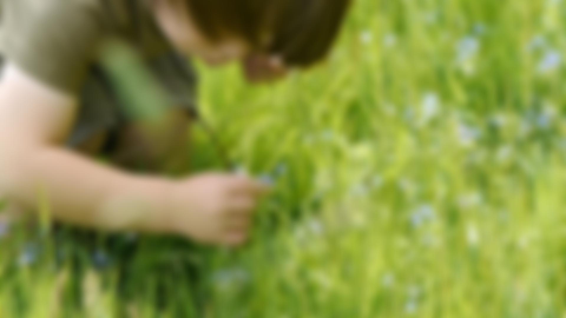 Sensory Trust | Charici