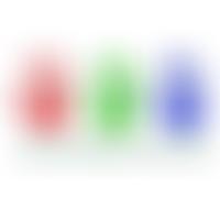 Bournville Village Primary School Pta | Charici