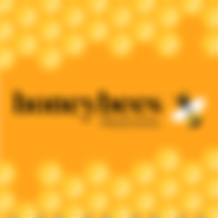 Honeybees Preschool | Charici