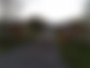 Wellingborough Dog Welfare | Charici