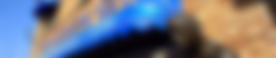 Peacock Gymnasium | Charici