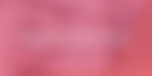 Leeds And District Autism Behaviour Communication Support Group | Charici