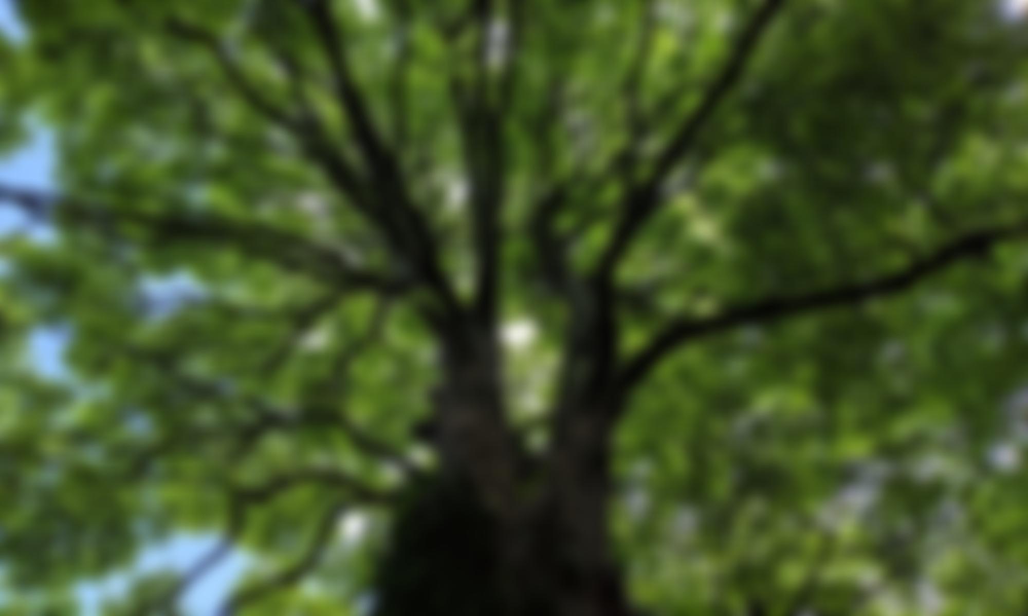 Hurstpierpoint Pre School Playgroup | Charici