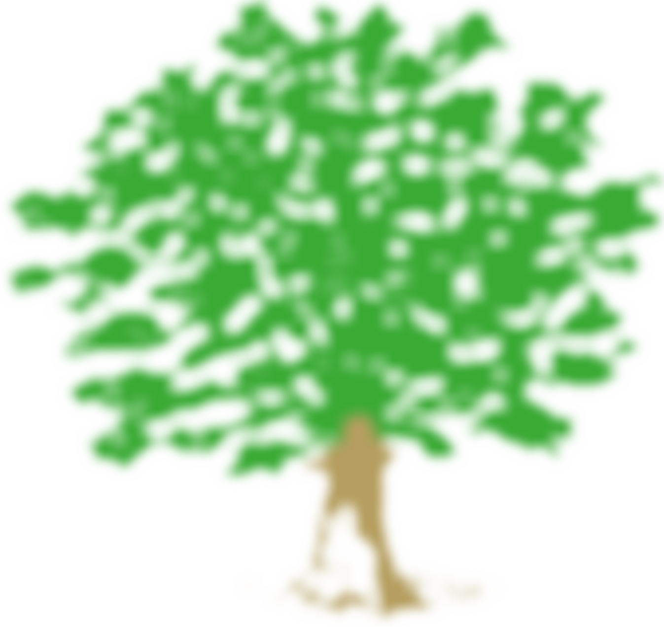 Chulmleigh County Primary School Parent Teacher Association | Charici