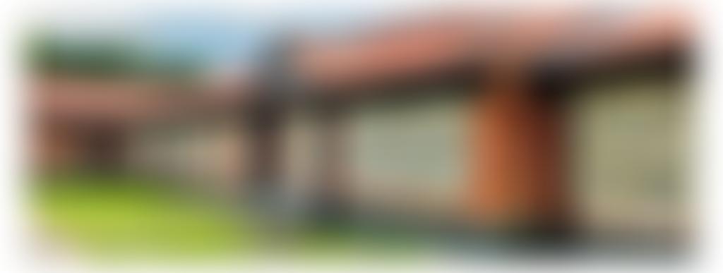 New Buckenham New Village Hall | Charici