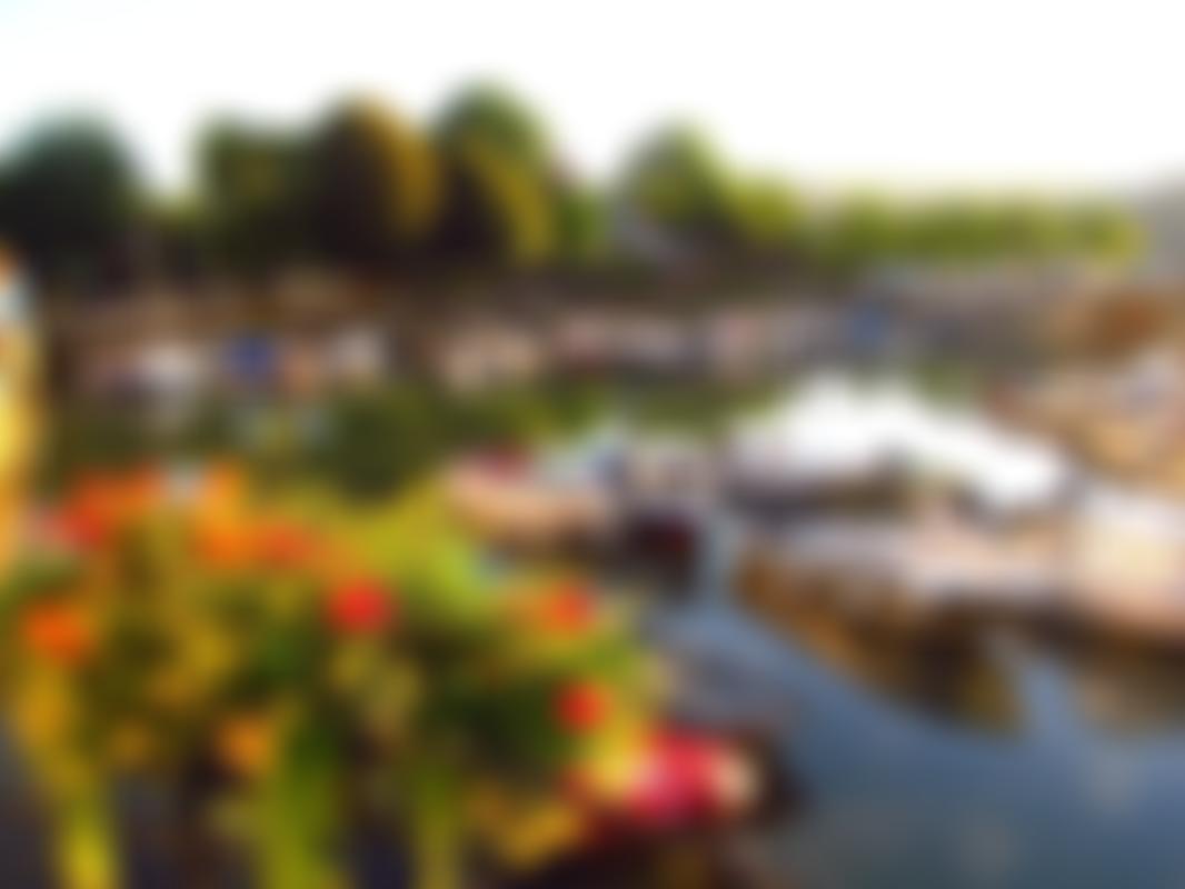 Dartmouth United Charities | Charici