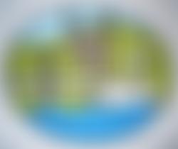 Stapenhill Women's Institute | Charici