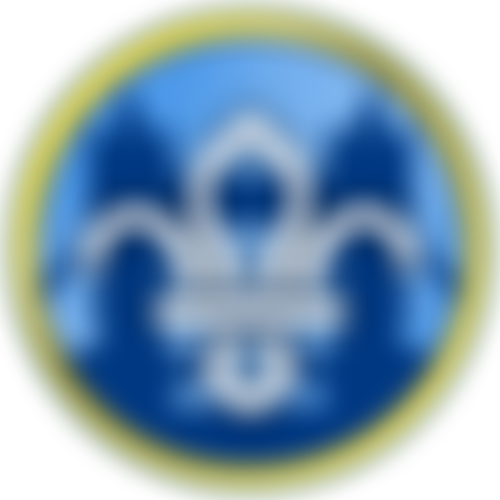 Greater London North East County Scout Council | Charici
