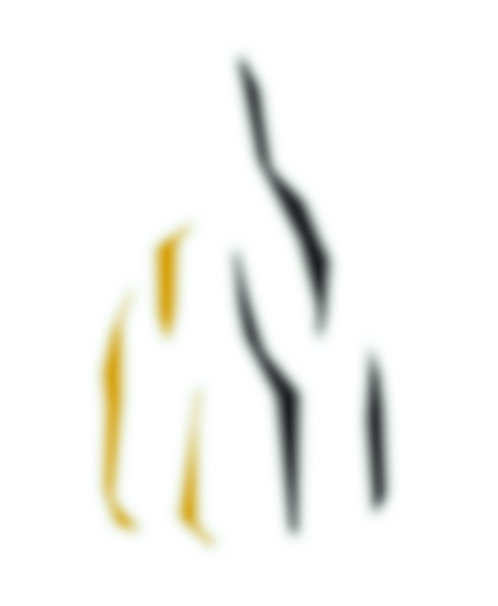 Dresden Trust | Charici