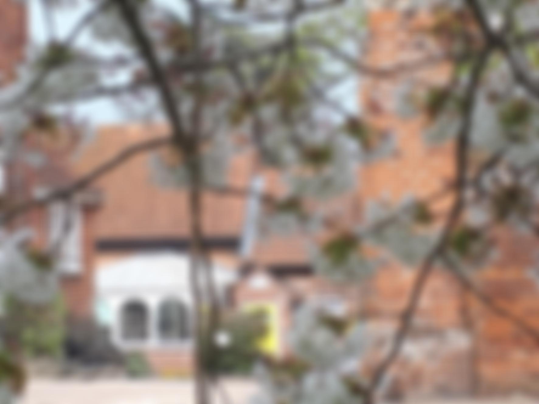 The Community Of All Hallows | Charici