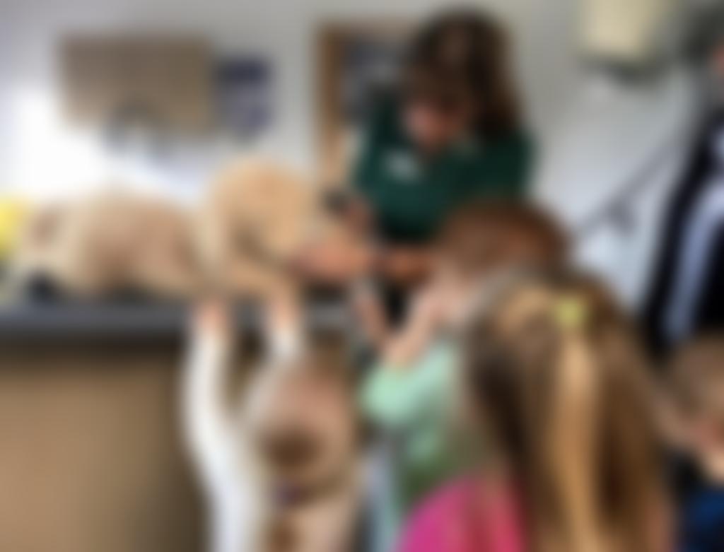 Codford Caterpillars Pre-School | Charici