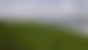 4Th Beaconsfield Scout Group | Charici