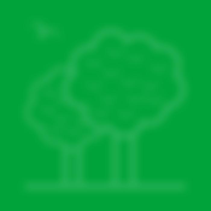 Friends Of Doubletrees | Charici