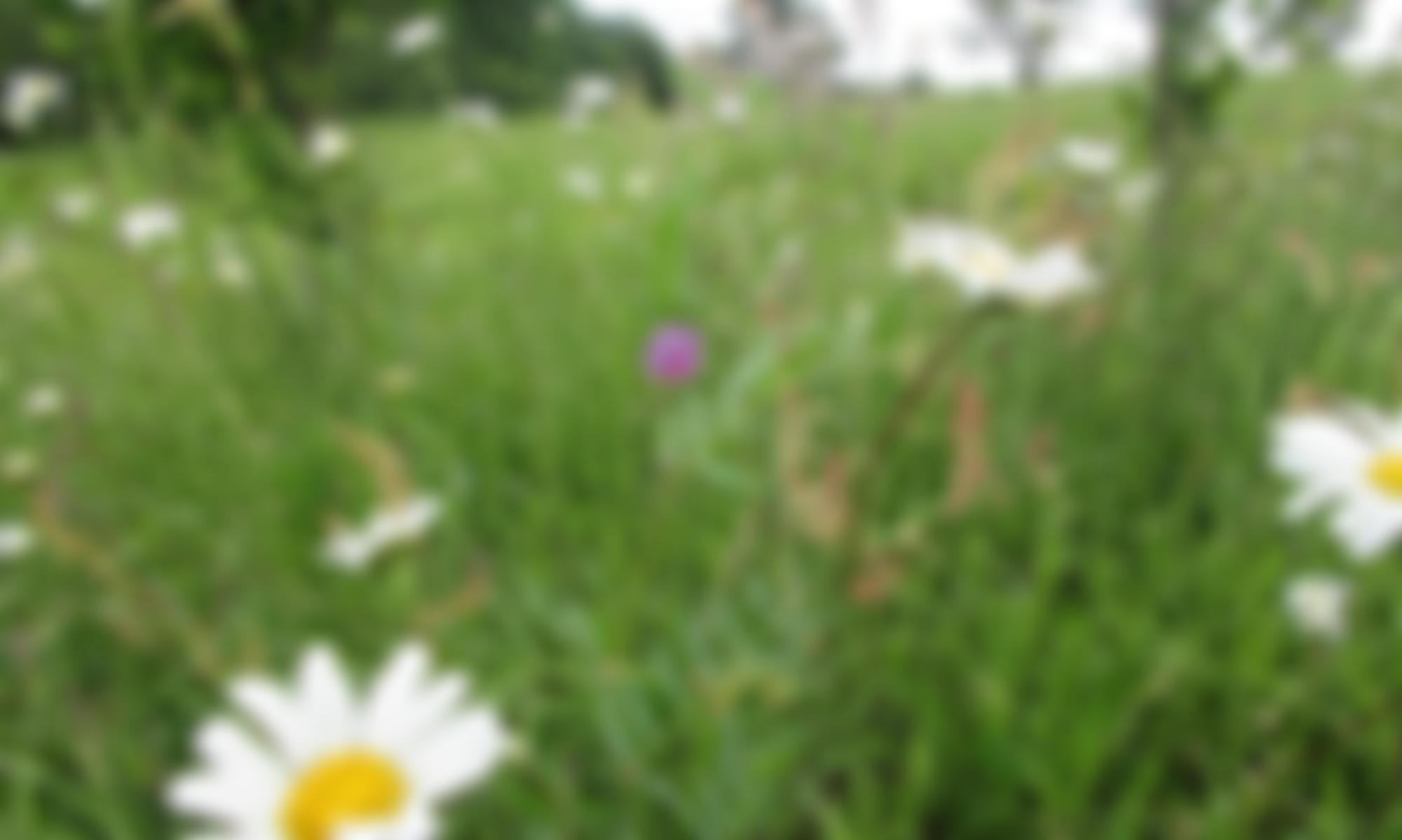 Faith Works | Charici