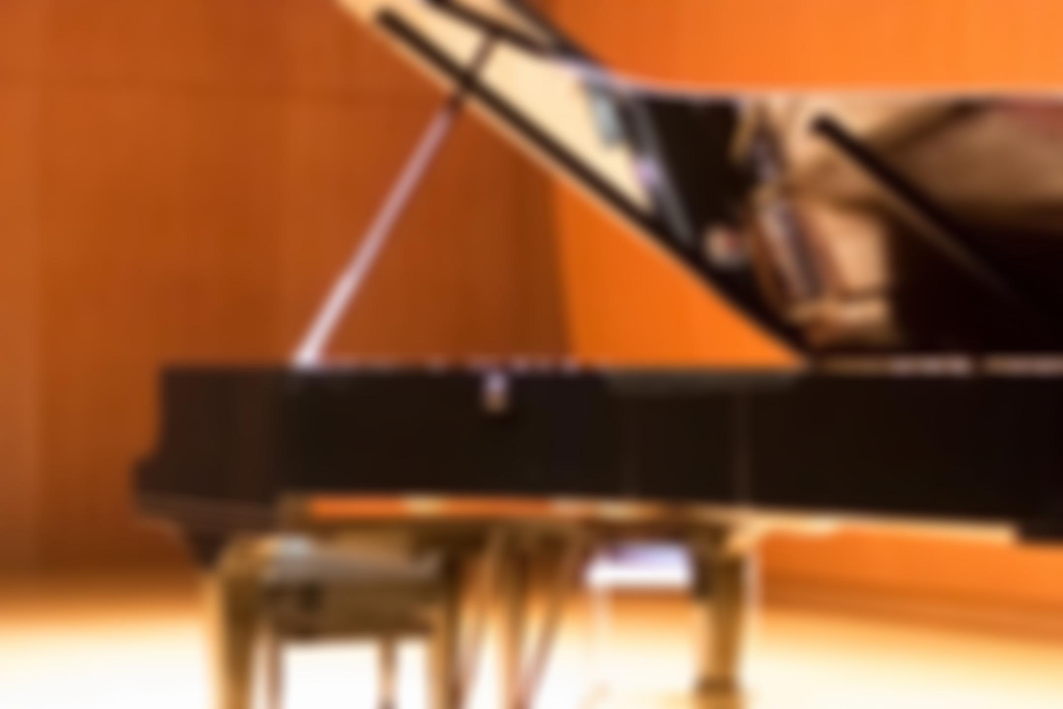 Hornsea Music Society | Charici