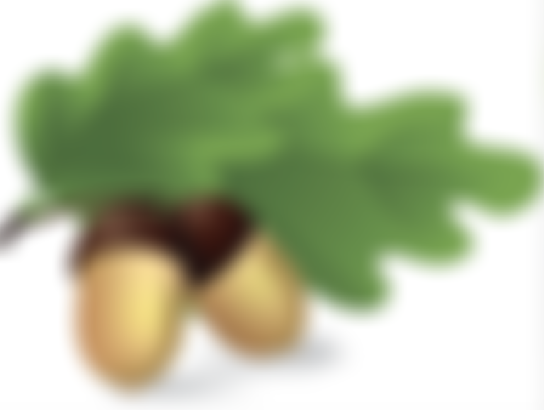 Acorns Nursery School | Charici