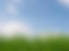 Pilton Pre-School | Charici