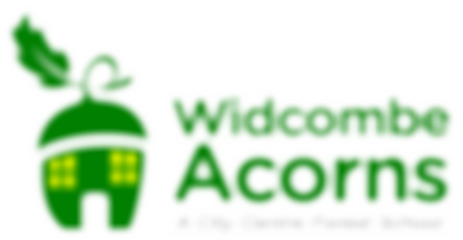Widcombe Acorns Playgroup | Charici