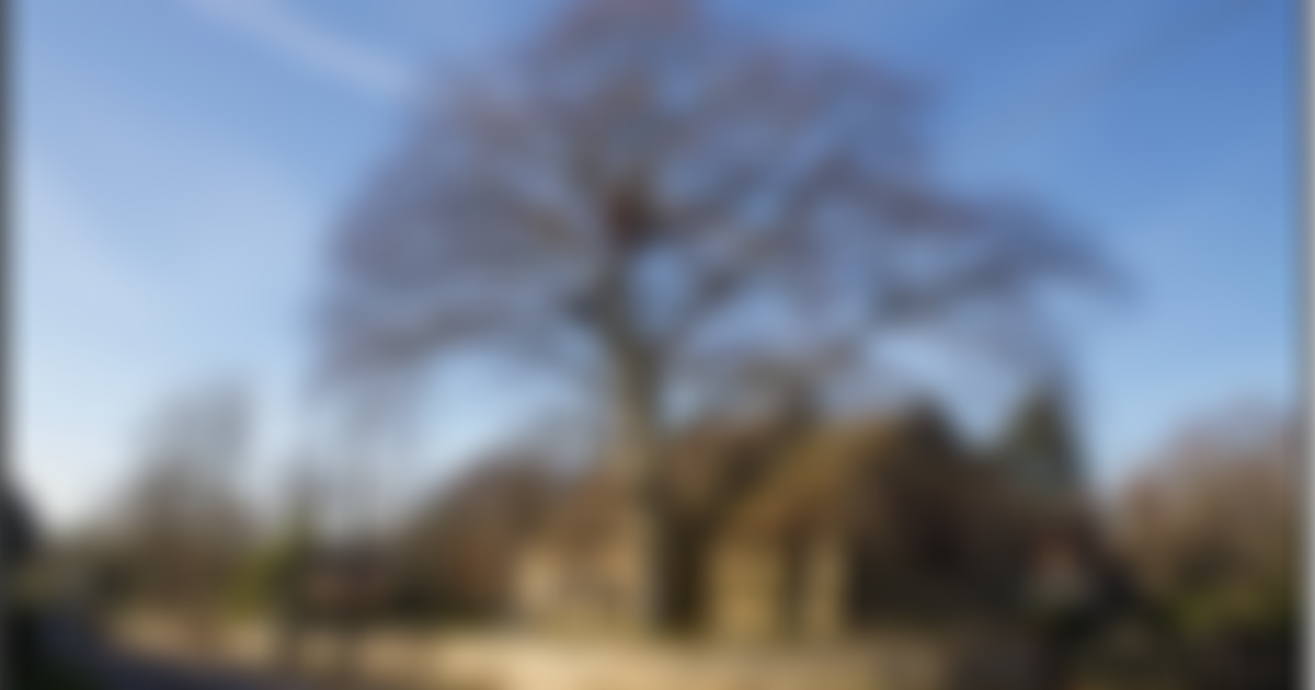 Shutlanger Village Hall | Charici