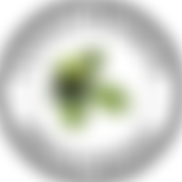 Longthorpe Playgroup | Charici