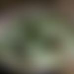 St Agnes Pre-School Playgroup | Charici