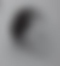 Mary Wakefield Festival | Charici