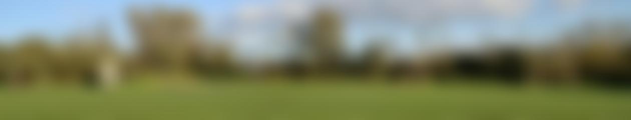 Buckhorn Weston Village Community Trust | Charici