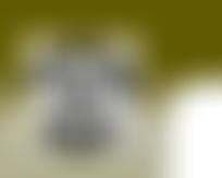 Stockton Multiple Sclerosis Group | Charici