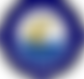 Pikemere Parent Teacher Association | Charici