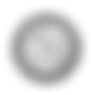 Clwyd Welsh Pony And Cob Association | Charici