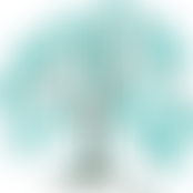 Willowbank Parents, Teachers And Friends Association | Charici