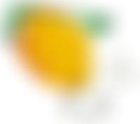 St Johns Honeypot Day Centre | Charici