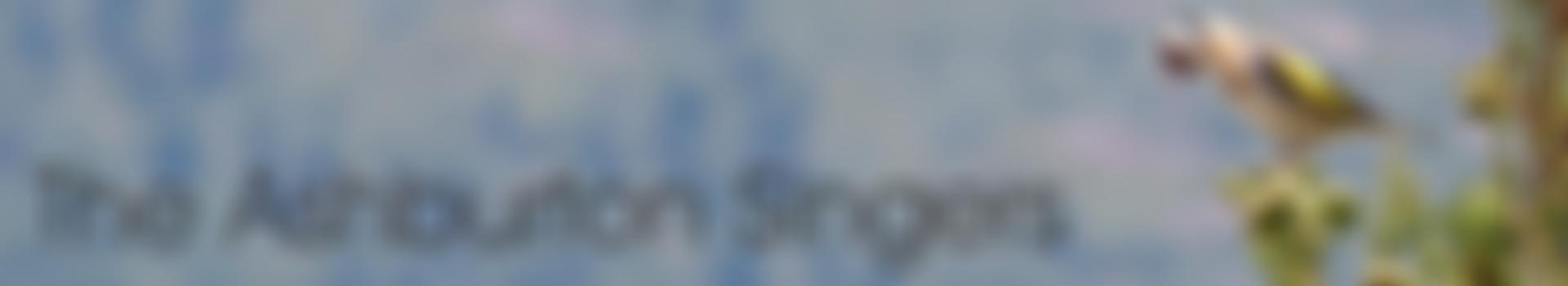 The Ashburton Singers | Charici