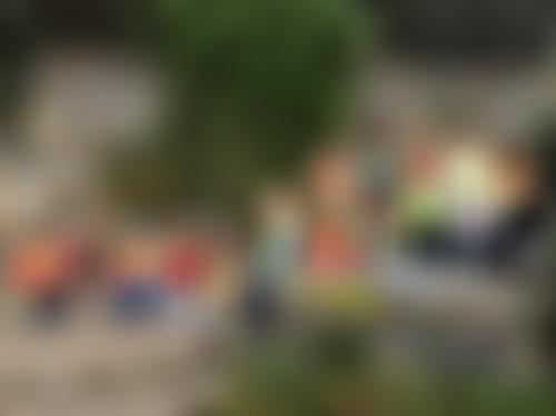 West Hoathly Community Pre-School | Charici
