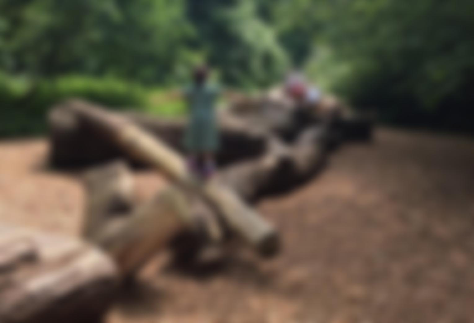 The Peaslake Schools Trust | Charici