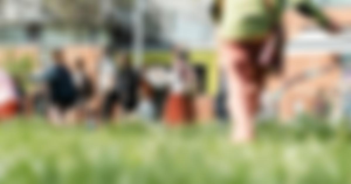 Oriel Davies Gallery | Charici