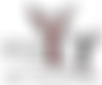 Halesowen / Dudley Yemeni Community Association | Charici